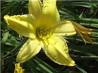 8b618e86-Picture 008.jpg